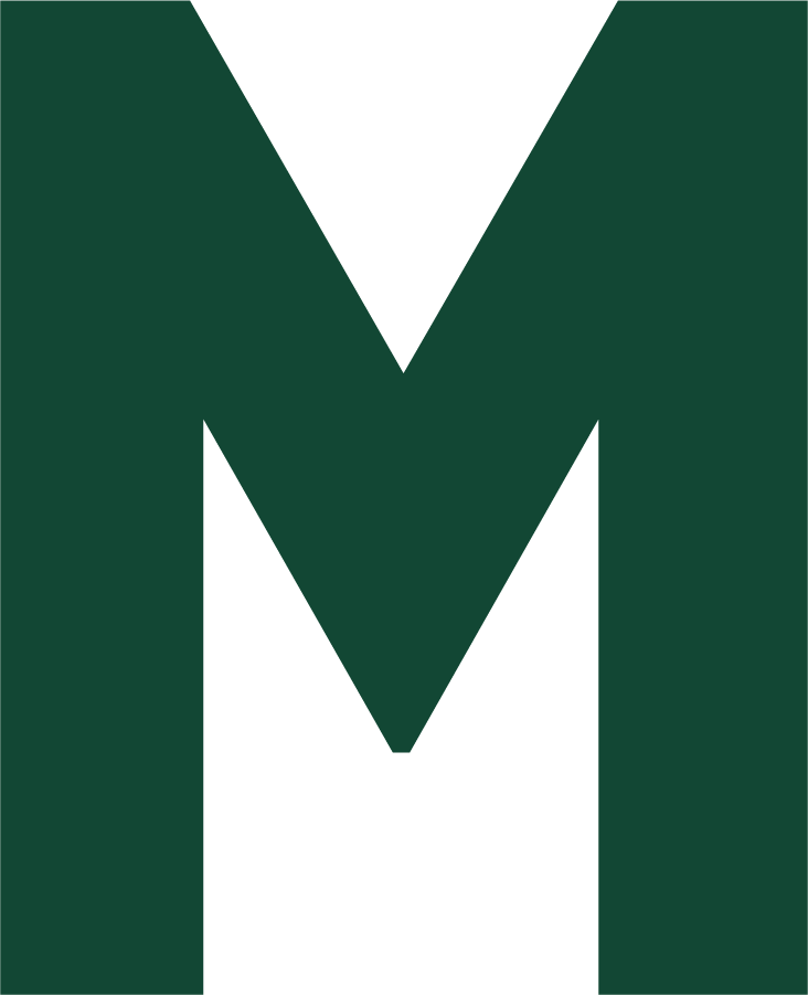 Miami Hurricanes 1926-1973 Secondary Logo diy iron on heat transfer